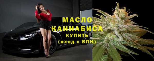 трава Инта