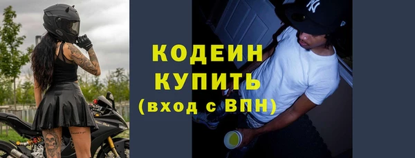 трава Инта