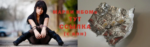 трава Инта