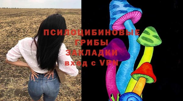 мяу мяу мука Иннополис