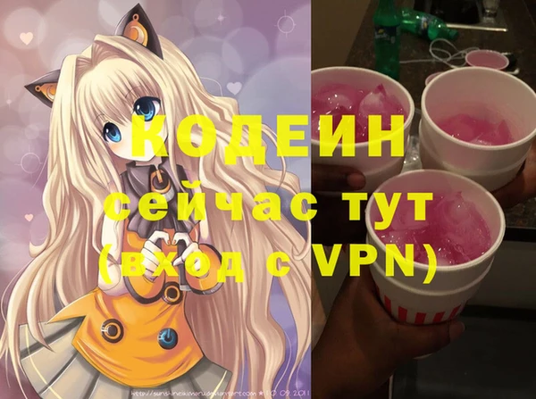 мяу мяу мука Иннополис