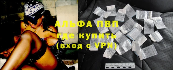 мяу мяу мука Иннополис