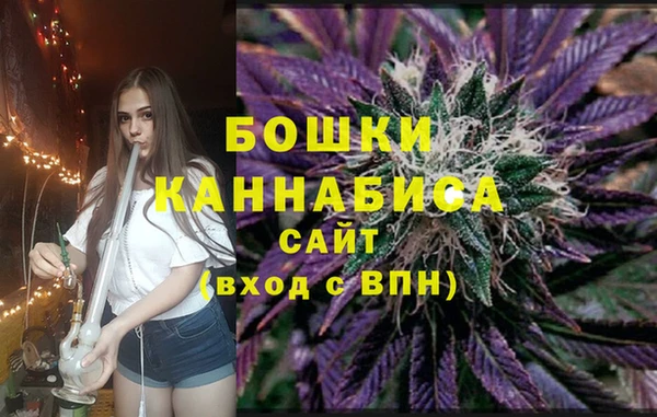 трава Инта